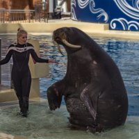 "Всё, голубчик, халява кончилась" :: Виталий Авакян "Всё, голубчик, халява кончилась" :: Виталий Авакян