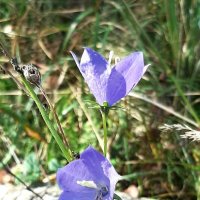 Сентябрь :: Наталья Герасимова