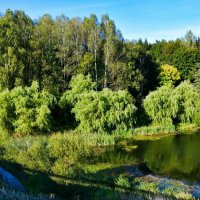 Смоленщина в сентябре (репортаж об осеннем озере). :: Милешкин Владимир Алексеевич Смоленщина в сентябре (репортаж об осеннем озере). :: Милешкин Владимир Алексеевич