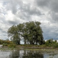 р.Нарев :: Светлана Ищенко р.Нарев :: Светлана Ищенко