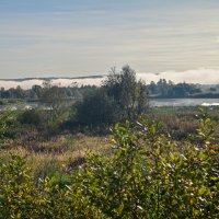 утро :: Константин Сафронов