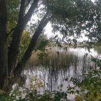 Озерко. :: Андрей Хлопонин Озерко. :: Андрей Хлопонин