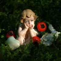 Осень наступила, отцвела капуста... ;-) :: Андрей Заломленков