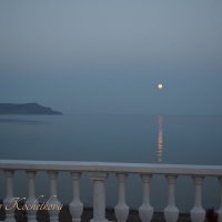 Природа Крыма :: Amazing Cosmea