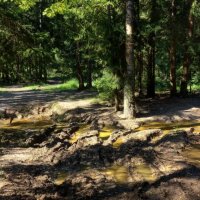 Всё! Дальше только пешком... :: Владимир Безбородов