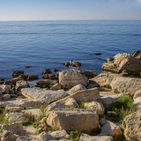 Каспий :: Анатолий Чикчирный