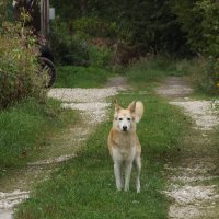 Соседка :: Freddy 97