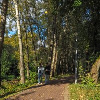 ***** :: юрий поляков