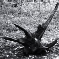 Чур меня! :: Василий Палий Чур меня! :: Василий Палий