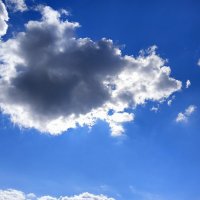 ПАРОЧКА :: Владимир ПАРОЧКА :: Владимир