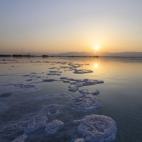 М. м :: Осень 