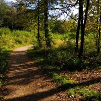 Бабье лето в Измайловском парке :: Андрей Лукьянов