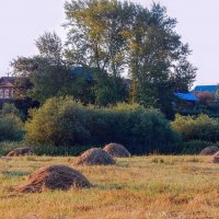 Посмотри, как он хорош - мир, в котором ты живёшь! :: Елена Хайдукова  ( Elena Fly )