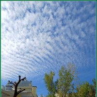 Прогулка по Москве.. Московское небо :: Ольга Довженко Прогулка по Москве.. Московское небо :: Ольга Довженко