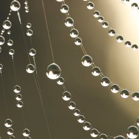 *** :: Елена Kазак (selena1965) *** :: Елена Kазак (selena1965)