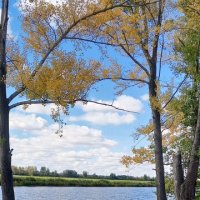 Вдоль по озеру :: Андрей Макурин