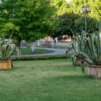 Прогулка по городу Армавир :: Игорь Сикорский