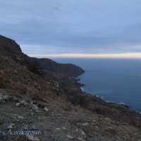 Природа Крыма :: Amazing Cosmea Природа Крыма :: Amazing Cosmea