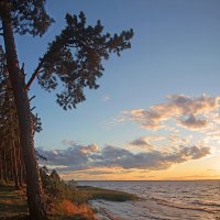 *** :: Сергей Григорьев