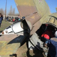 Что там внутри? :: Александр