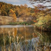 Хмурой осенью. :: fillarret-2