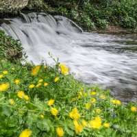 Речка в парке замка Акиньи :: Георгий А Речка в парке замка Акиньи :: Георгий А