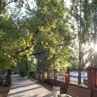 Площадь Собора :: Динара Каймиденова