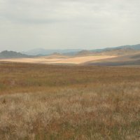 По диким степям Забайкалья ... :: Наталья Лунева По диким степям Забайкалья ... :: Наталья Лунева
