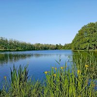 В начале лета. :: Лия ☼ В начале лета. :: Лия ☼