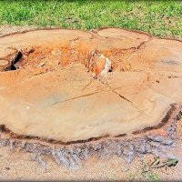 И всё, что от него осталось ... :: Сергей И всё, что от него осталось ... :: Сергей