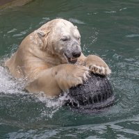 Кай :: Михаил Измайлов Кай :: Михаил Измайлов