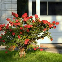 ** :: Vlad Сергиевич ** :: Vlad Сергиевич