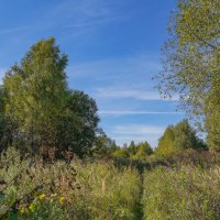 Палитра сентября... :: Владимир Жданов