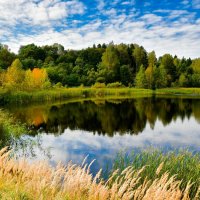 Смоленская осень. :: Милешкин Владимир Алексеевич 