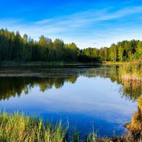 Смоленщина в сентябре (репортаж об осеннем озере). :: Милешкин Владимир Алексеевич Смоленщина в сентябре (репортаж об осеннем озере). :: Милешкин Владимир Алексеевич