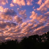 Утро сентября :: Людмила Смородинская