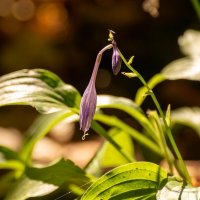 Вот и осень :: Игорь Сикорский