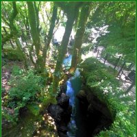 Грузия. Мартвильский природный парк. :: Ольга Довженко Грузия. Мартвильский природный парк. :: Ольга Довженко