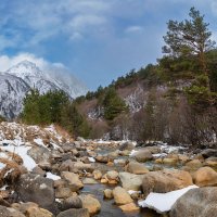 Горный массив Таймази, Дигория, Северная Осетия Алания. :: Дина Евсеева