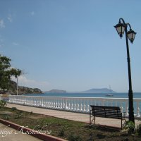 Природа Крыма :: Amazing Cosmea