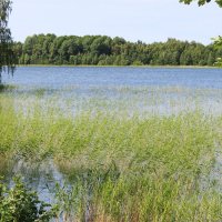 берега Онежского озера :: Любовь ***