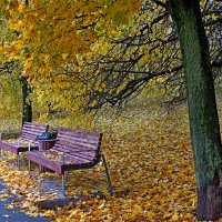 Парк Шкулёва :: Игорь Белоногов