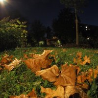 Осень :: юрий поляков