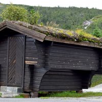 torvtak- дом с земляной крышей :: Nina Streapan