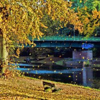 Листопад :: Галина Шеина-Мюльдорфер