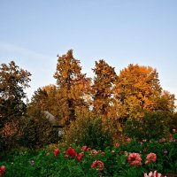 Удачный момент :: Владимир Мигонькин