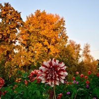 Удачный момент :: Владимир Мигонькин