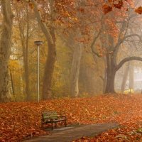 В туманном парке бродит осень :: Юрий. Шмаков