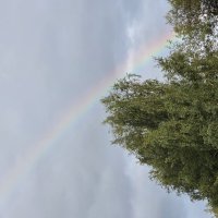 Радуга :: Алексей Домрин