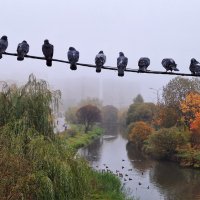 Посиделки :: Наталья 